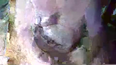 Snapshot of expogent chatting on 10, 4, 2026 expogent online show from 10, 4, 2026