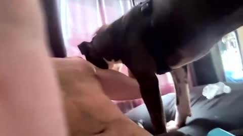 Snapshot of eyesonmichaza chatting on 10, 10, 2025 MichazaXO online show from 10, 10, 2025