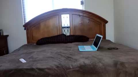 Kim20 online show from 24, 1, 2025