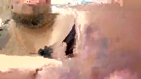 Snapshot of eyyoboobo0 chatting on 19, 3, 2026 eyyoboobo0 online show from 19, 3, 2026