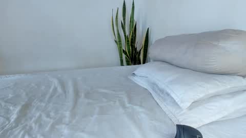 -  A N D E R online show from 4, 11, 2025