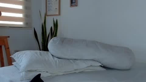 -  A N D E R online show from 20, 11, 2025