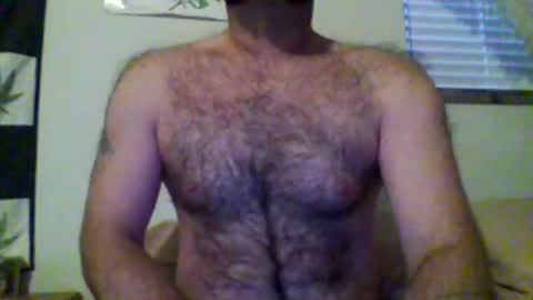 faceforyourbutt online show from 2, 12, 2025