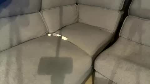 facesd online show from 2, 2, 2025