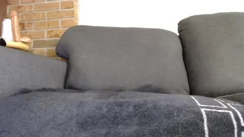 Snapshot of fafnir1278 chatting on 20, 1, 2025 fafnir1278 online show from 20, 1, 2025