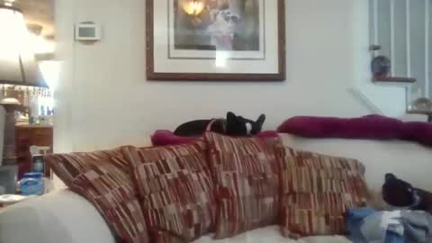 Snapshot of fairmount31 chatting on 12, 11, 2025 fairmount31 online show from 12, 11, 2025