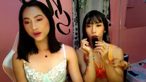 Snapshot of fairy_twinse chatting on 4, 12, 2025 fairy_twinse online show from 4, 12, 2025