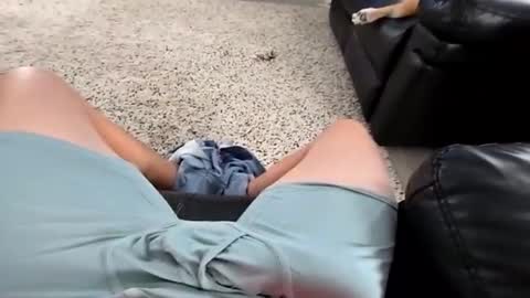 faker1414 online show from 13, 1, 2026