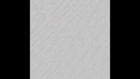 Snapshot of falkor_xl chatting on 15, 3, 2026 Falkor online show from 15, 3, 2026