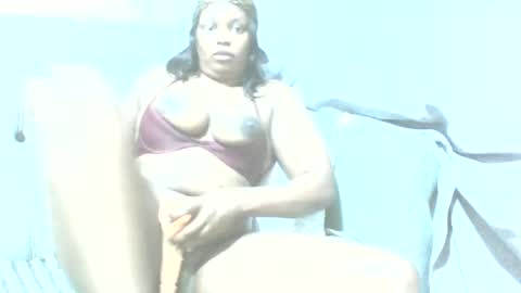 farzanas online show from 22, 6, 2026