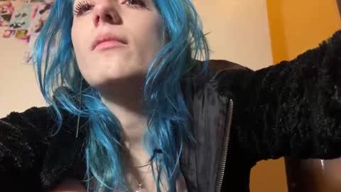 Gattino online show from 26, 11, 2025