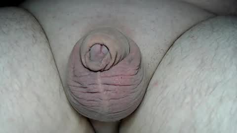 Snapshot of fatmanscock chatting on 2, 3, 2026 Fatmanscock online show from 2, 3, 2026