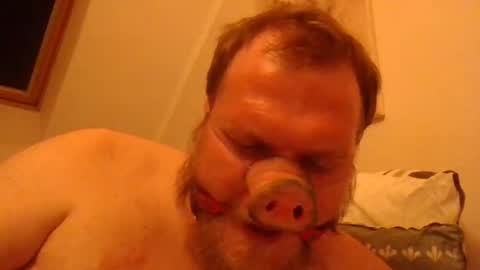 Snapshot of fckcbacc89 chatting on 20, 6, 2026 Horny Fat Boy online show from 20, 6, 2026