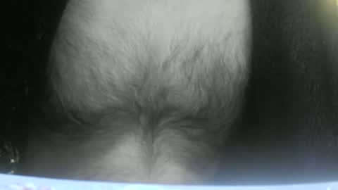 Snapshot of feardubh chatting on 10, 2, 2025 feardubh online show from 10, 2, 2025