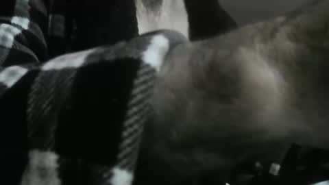 Snapshot of feardubh chatting on 31, 10, 2025 feardubh online show from 31, 10, 2025