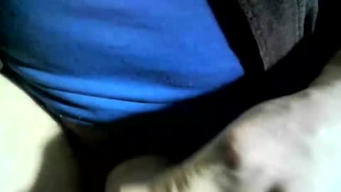 Snapshot of felicaste chatting on 24, 1, 2025 felicaste online show from 24, 1, 2025