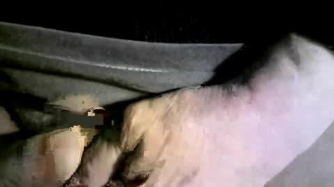 Snapshot of felicaste chatting on 17, 2, 2025 felicaste online show from 17, 2, 2025