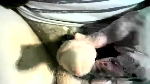 Snapshot of felicaste chatting on 8, 3, 2025 felicaste online show from 8, 3, 2025