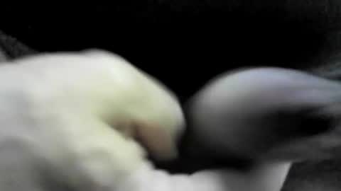 Snapshot of felicaste chatting on 17, 9, 2025 felicaste online show from 17, 9, 2025