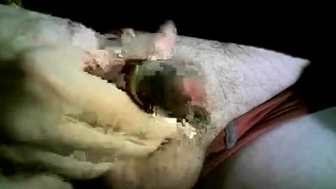 Snapshot of felicaste chatting on 26, 11, 2025 felicaste online show from 26, 11, 2025