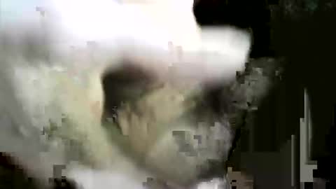 Snapshot of felicaste chatting on 2, 12, 2025 felicaste online show from 2, 12, 2025