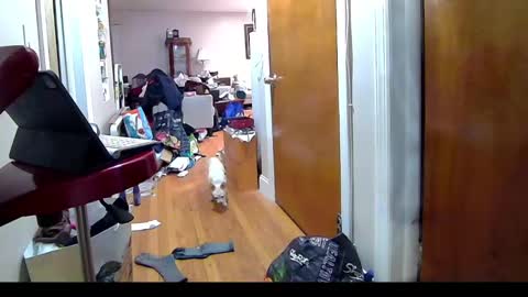 felicitybliss29 online show from 6, 11, 2025