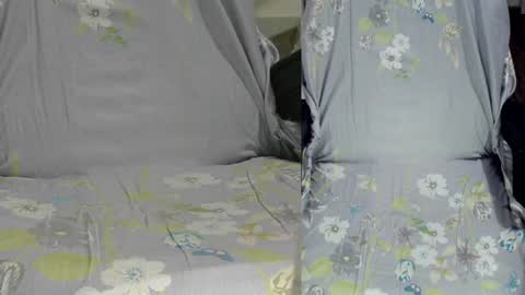 Snapshot of felixlau chatting on 14, 1, 2025 felixlau online show from 14, 1, 2025