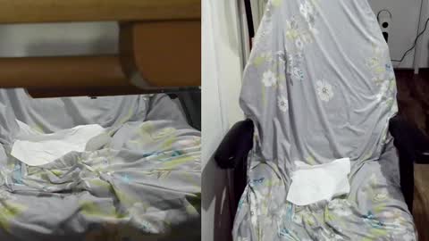 Snapshot of felixlau chatting on 22, 1, 2025 felixlau online show from 22, 1, 2025