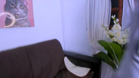 Fernanda online show from 8, 11, 2025