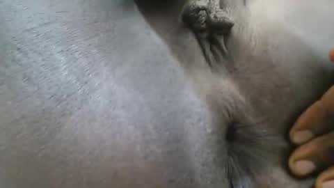 Ferie online show from 27, 9, 2025