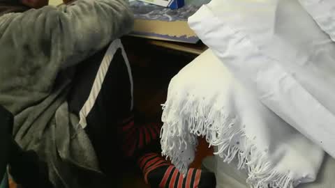 Fid online show from 27, 11, 2025