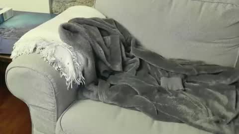 Snapshot of fidelio89 chatting on 6, 1, 2026 Fid online show from 6, 1, 2026