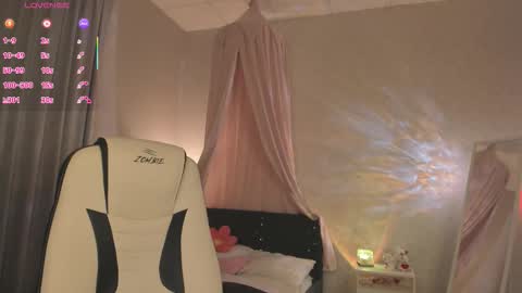 Filla online show from 20, 11, 2025