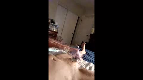 Snapshot of figaro62026 chatting on 27, 4, 2026 figaro62026 online show from 27, 4, 2026