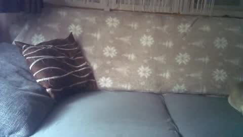 Snapshot of findo1991 chatting on 6, 1, 2025 Jane and Findo online show from 6, 1, 2025