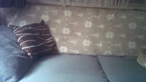 Snapshot of findo1991 chatting on 25, 1, 2025 Jane and Findo online show from 25, 1, 2025