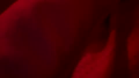 FirstTimeFeak online show from 23, 5, 2026