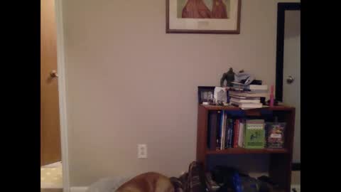 FitBit online show from 9, 3, 2025