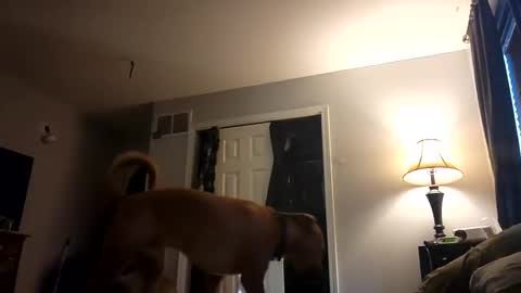 Snapshot of fkmylife6669 chatting on 28, 2, 2025 Nate online show from 28, 2, 2025