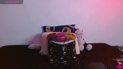 nova online show from 13, 11, 2025