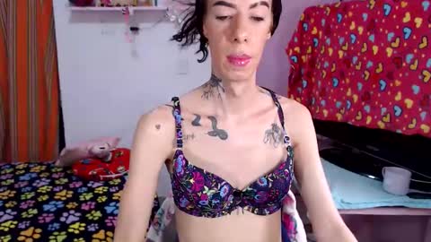 flats23cm online show from 29, 5, 2026