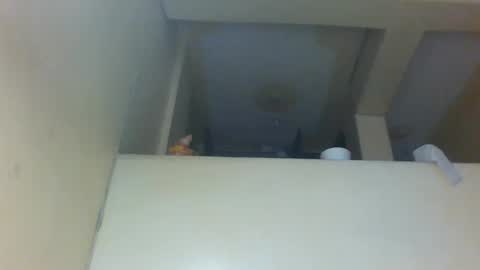 Amber online show from 29, 11, 2025