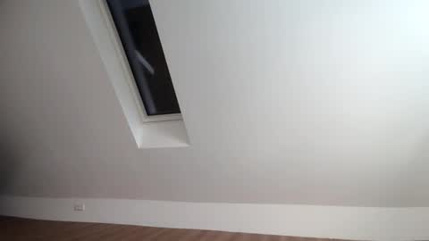 flowster221 online show from 20, 12, 2025