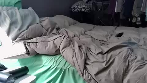 foodforcatfists online show from 1, 12, 2025