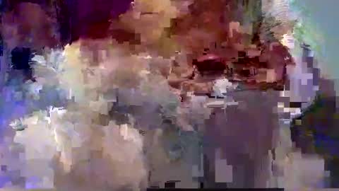 Snapshot of forest133 chatting on 12, 12, 2024 forest133 online show from 12, 12, 2024