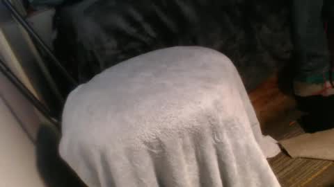 Snapshot of forestnymphpdx chatting on 20, 12, 2024 forestnymphpdx online show from 20, 12, 2024