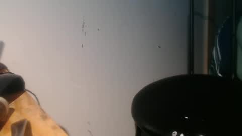 Snapshot of forestnymphpdx chatting on 30, 1, 2025 forestnymphpdx online show from 30, 1, 2025