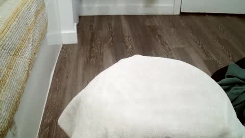 Snapshot of forestnymphpdx chatting on 19, 10, 2025 forestnymphpdx online show from 19, 10, 2025