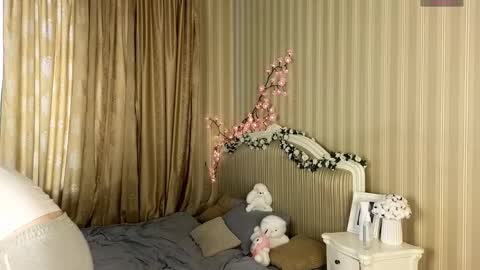 Petra online show from 17, 1, 2026