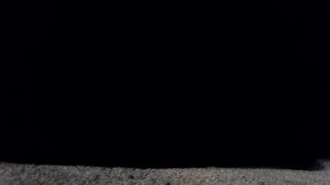 Snapshot of francescafey chatting on 17, 3, 2026 francescafey online show from 17, 3, 2026